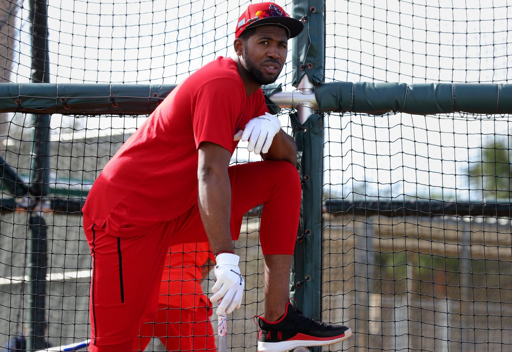 Cardinals spring training continues